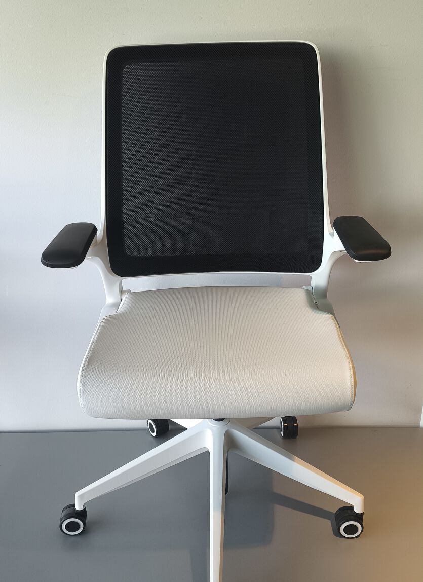 Ergonomiczne krzesło Smart SW10N
