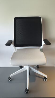Ergonomiczne krzesło Smart SW10N