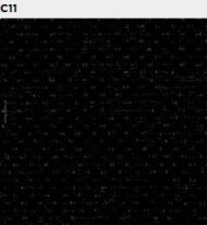 Nowy Styl - Krzesło ISO Black - 5