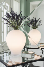 Argon - Szklana lampa stołowa w białym kolorze z funkcją wazonu AMARYLIS 4095 - 2