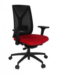 Ergonomiczny Fotel Valio BS - Grospol - 9